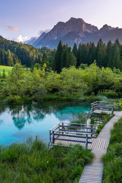 Réserve naturelle de Zelenci en Slovénie Étang alpin à Kranjska Gora