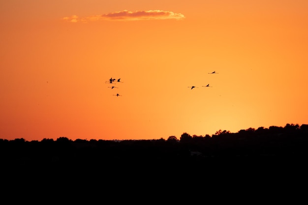 Réserve d'oiseaux Vendicari Saline au coucher du soleil