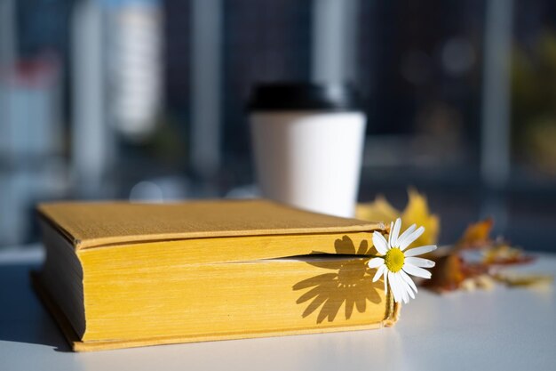 Réservez avec un signet avec une fleur de camomille se trouve sur la table