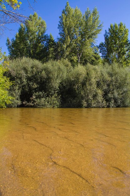 Réservoir, alberche riverbank à Tolède, Castilla La Mancha, Espagne