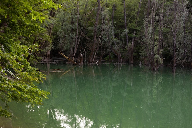 Le réservoir du lac Vanganel