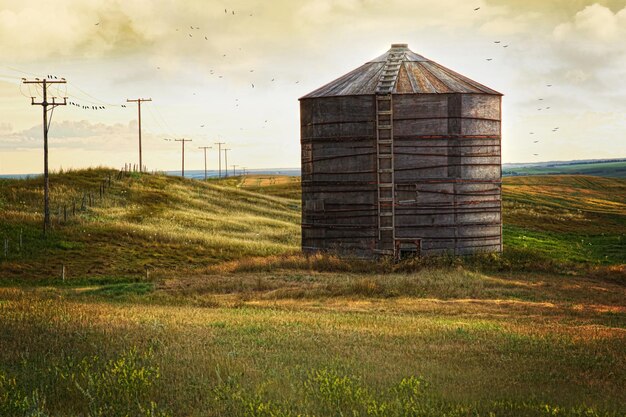 Un réservoir de grain de bois abandonné en Saskatchewan