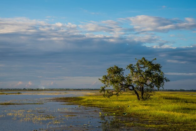 Le réservoir pour l&#39;agriculture dans le pays de la Thaïlande.