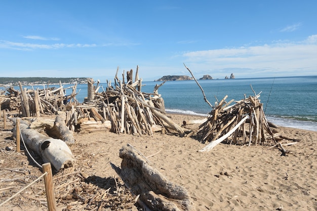 Les restes de la tempête s'accumulent sur la plage de La Gola del Ter, province de Gérone, Catalogne, Espagne