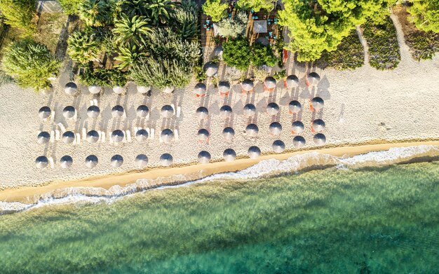 Résumé fond de plage