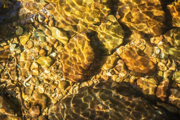 Résumé La réflexion de l&#39;eau, l&#39;eau dans le ruisseau