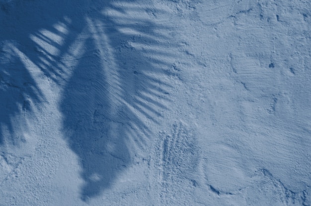 Résumé textuer d'arrière-plan des ombres feuille de palmier tropique sur un mur de béton. Couleur bleu classique. Couleur de l'année 2020.