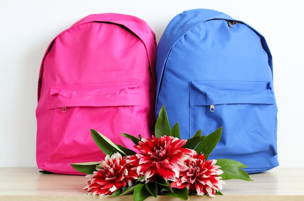 Retour à l'école Sacs à dos roses et bleus