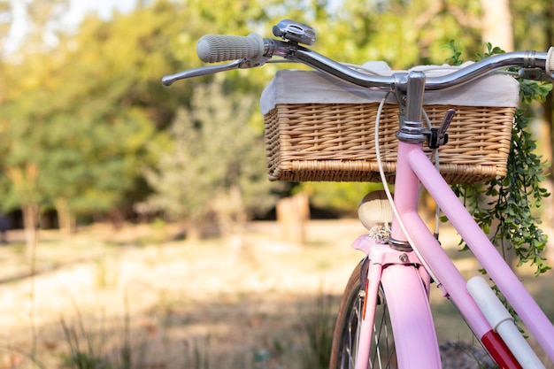 Retour vue rapprochée d'un vélo rétro rose avec fond de parc entouré de nature