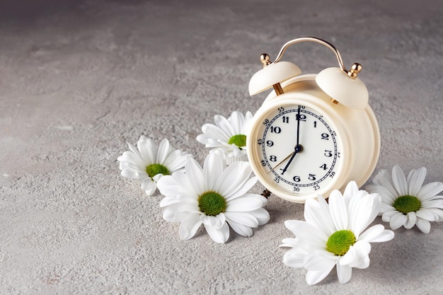 Réveil blanc avec chrysanthèmes blancs sur fond beige agréable réveil matinal