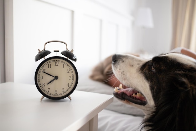 Réveil et femme dormant dans le lit qualité du sommeil