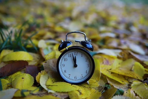 Réveil sur les feuilles d'automne sur fond naturel