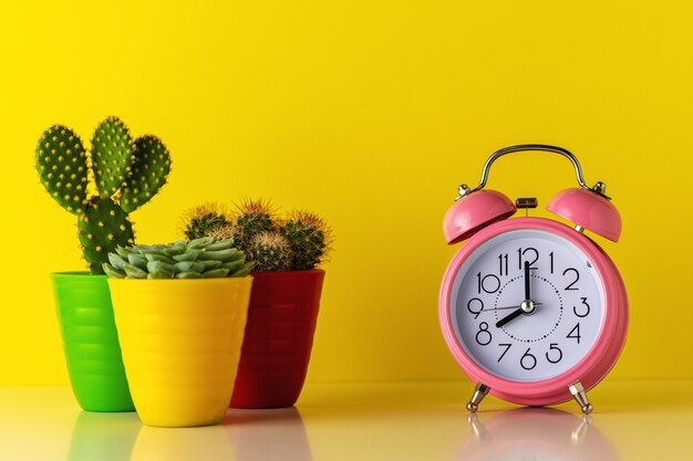 Réveil rose avec cactus en pot sur un bureau en bois.