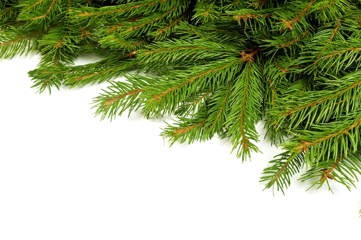 Photo réveillon de noël isolé sur blanc