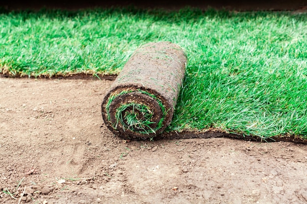 Photo revêtement du sol avec des rouleaux verts d'une pelouse