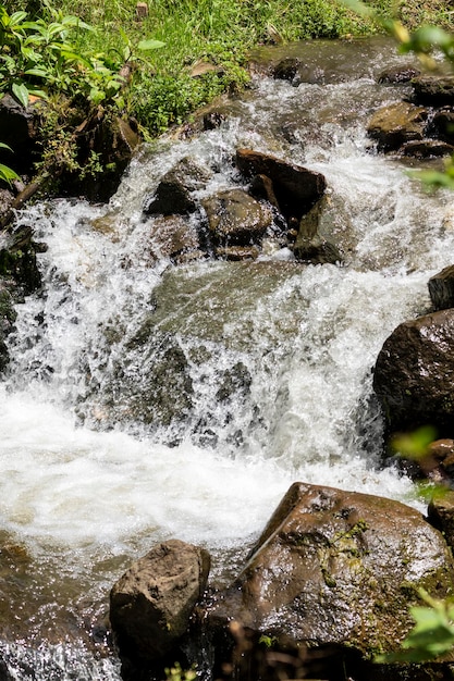 riachuelo, rio de agua cristalina dans la cordillère de los andes, cascade naturelle