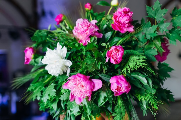 Un riche bouquet de pivoines roses et blanches feuilles d'érable vertes dans un vase bouquet de printemps frais