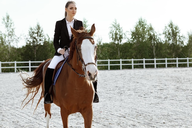 Rider femme élégante à cheval à l'extérieur