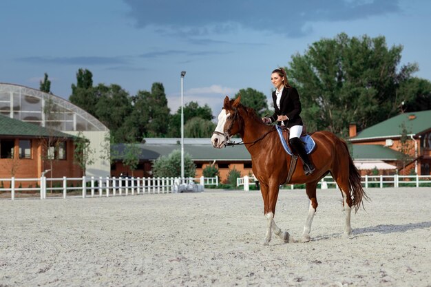 Rider femme élégante à cheval à l'extérieur