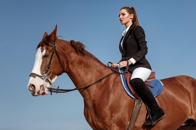 Rider femme élégante à cheval à l'extérieur