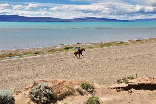 Rider, Ranger à Laguna Nimez Reserva à El Calafate, Patagonie, Argentine