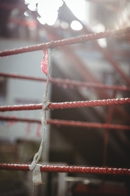 Ring de boxe en studio de remise en forme