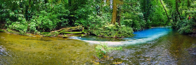 Le Rio Celeste dans le parc national de Tenorio