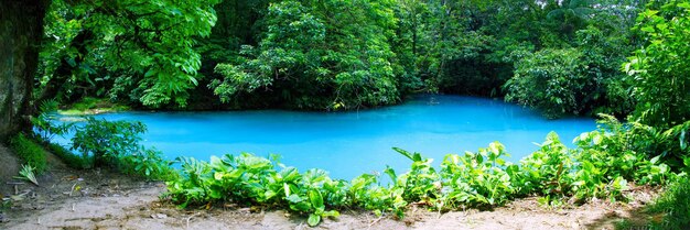 Photo le rio celeste dans le parc national de tenorio