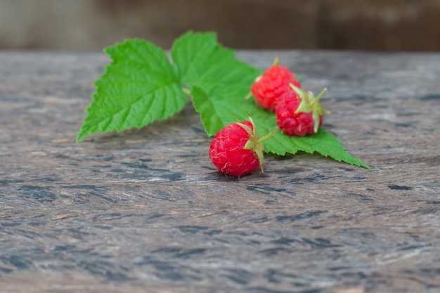 Rip Framboise Sur Vieux Bois