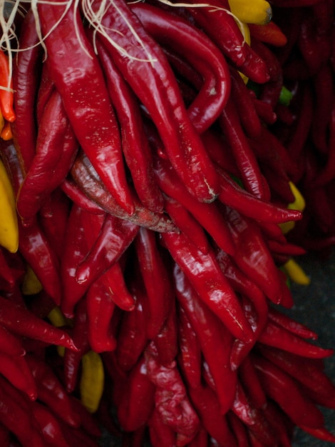 Rista fraîche exposée au marché des agriculteurs locaux. La légende raconte, dans le Sud-Ouest, que les ristras de chili suspendus portent chance s'ils sont suspendus à l'entrée de la maison.