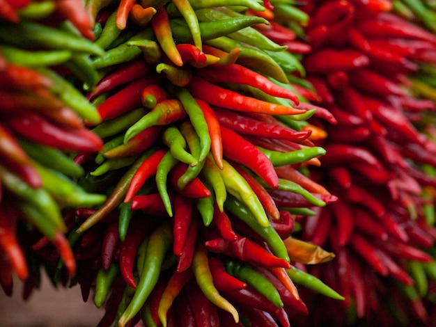 Photo rista fraîche exposée au marché des agriculteurs locaux. la légende raconte, dans le sud-ouest, que les ristras de chili suspendus portent chance s'ils sont suspendus à l'entrée de la maison.