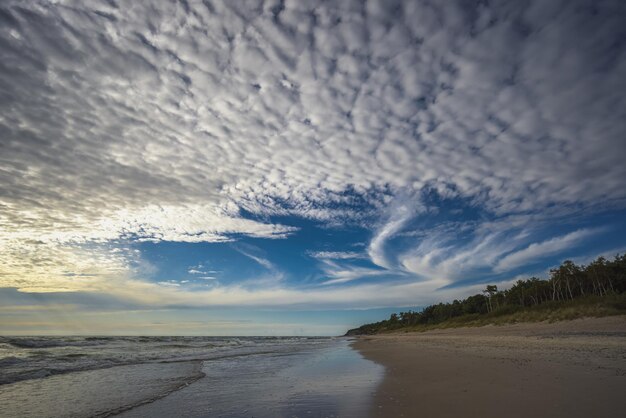 Le rivage de la Baltique avec de beaux nuages blancs