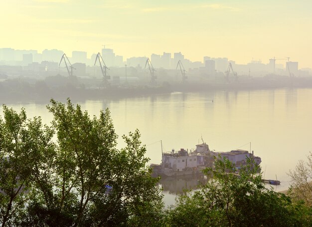 le rivage d'une grande ville avec des grues portuaires dans une brume jaune à l'horizon derrière les cimes des arbres