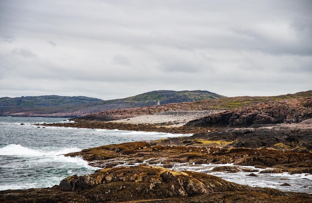 Le rivage de l'océan nord est fait de pierres recouvertes de mousse colorée. Teriberka, mer de Barents, région de Mourmansk, péninsule de Kola