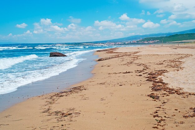 Rivage ondulé par une belle journée d'été