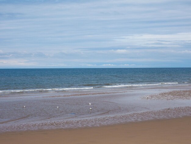 Rivage de la plage de la mer