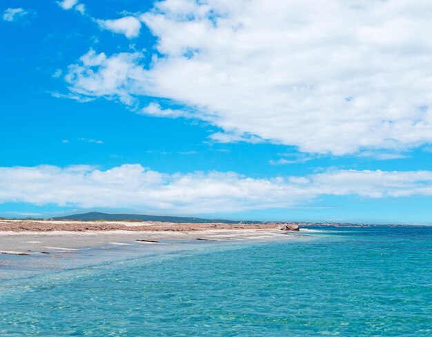 Rivage de Stintino vu de l'eau