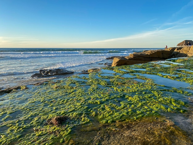 Rivages et plage de La Jolla à La Jolla San Diego, Californie du Sud. Etats-Unis