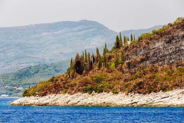 Photo rive avec des arbres colorés