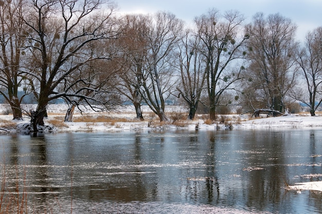 Rive couverte de neige en hiver