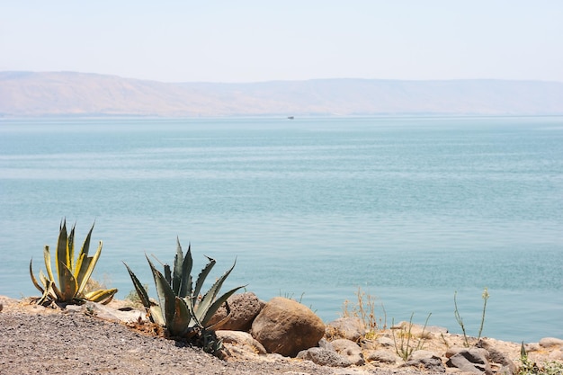 La rive du lac Kinneret