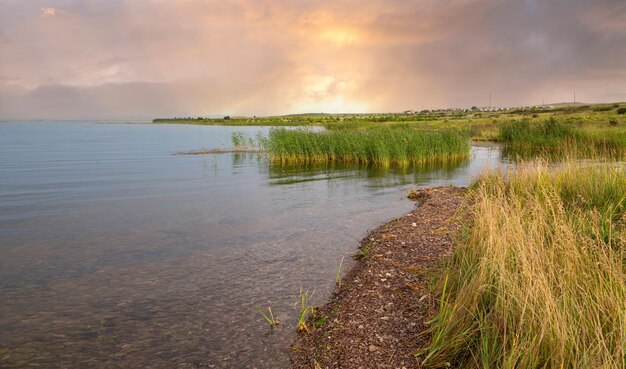 Rive du lac avec des roseaux Texture de l'eau avec espace de copie