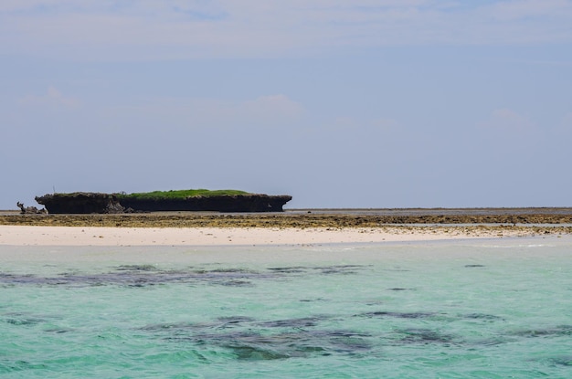 La rive de l'île près du Kenya après la plongée en apnée Kenya Afrique