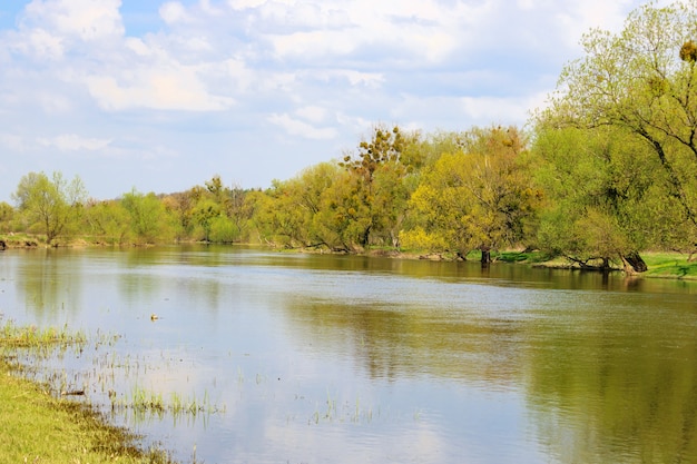 Rive d'une petite rivière avec des arbres luxuriants un jour de printemps contre le ciel bleu. Paysage naturel