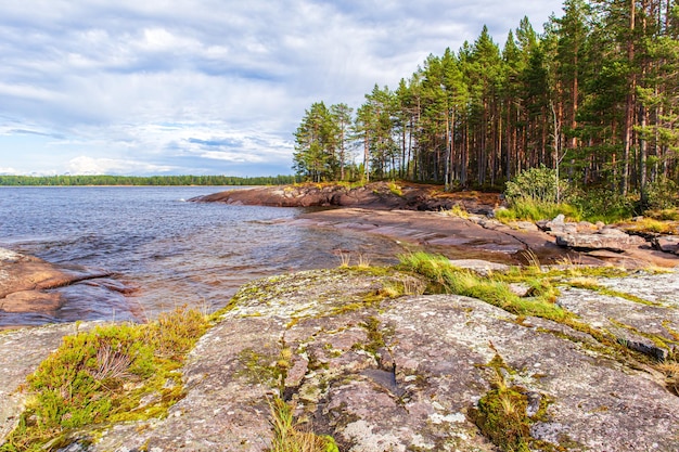 La rive pittoresque du lac Onega Les rochers de la forêt et la plage La nature du Nord Voyager en Russie
