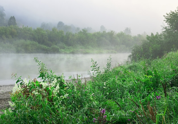 La rive de la rivière Inya dans le brouillard du matin