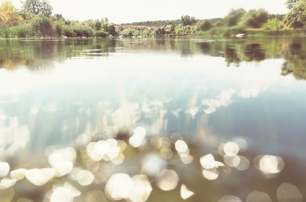 Photo rive de la rivière en journée d'été ensoleillée