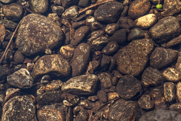 River Bed - Pierres sous les eaux claires d&#39;une rivière