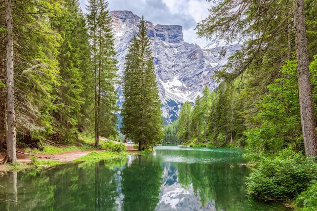 Rives boisées du célèbre lac Braies avec eau douce émeraude