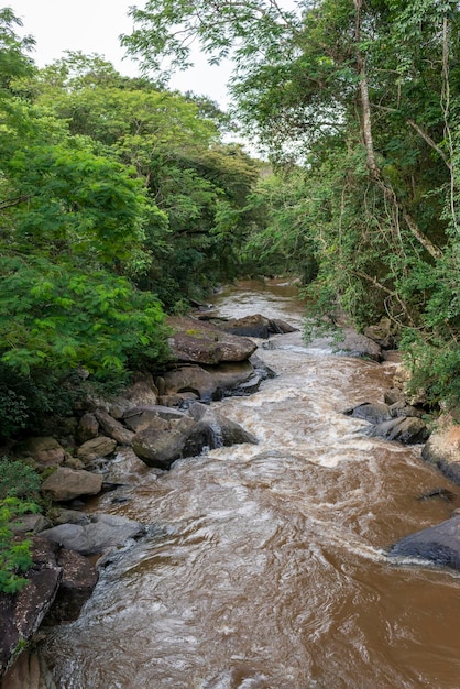 Rivière Aiuruoca Minas Gerais Brésil forêt tropicale